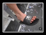 Bild-131